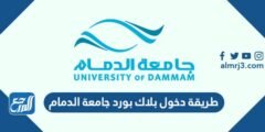 طريقة دخول بلاك بورد جامعة الدمام 1445