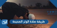 طريقة صلاة الوتر الصحيحة - موقع المرجع
