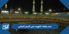 كم عدد ركعات التهجد في الحرم المكي رمضان 2024