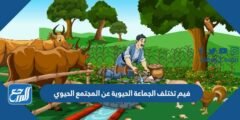 فيم تختلف الجماعة الحيوية عن المجتمع الحيوي
