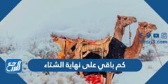 كم باقي على نهاية الشتاء 1446 العد التنازلي