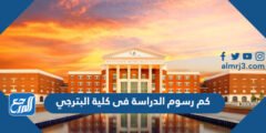 كم رسوم الدراسة فى كلية البترجي 2024 وشروط القبول