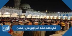 كم ركعة صلاة التراويح في رمضان