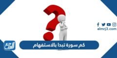 كم سورة تبدا بالاستفهام - موقع المرجع
