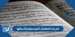 كم عدد المقامات الموسيقية وأسمائها