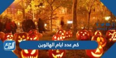 كم عدد ايام الهالوين 2024 ومتى ينتهي