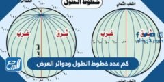 كم عدد خطوط الطول ودوائر العرض