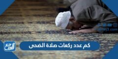 كم عدد ركعات صلاة الضحى