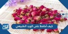 كيف أحافظ على الورد الطبيعي لمدة طويلة