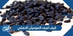 كيف اعرف الموميان الاصلي والتقليد