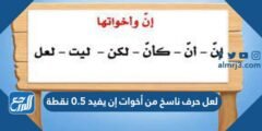 لعل حرف ناسخ من أخوات إن يفيد 0.5 نقطة