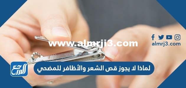 لماذا لا يجوز قص الشعر والأظافر للمضحي