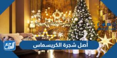 ما أصل شجرة الكريسماس وما اسمها