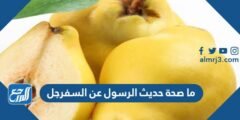 ما صحة حديث الرسول عن السفرجل
