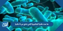 ما عدد خلايا البكتيريا التي تنتج عن 4 خلايا