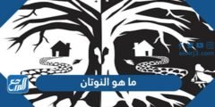 ما هو النوتان - موقع المرجع