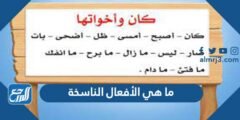 ما هي الأفعال الناسخة - موقع المرجع