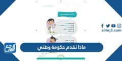 ماذا تقدم حكومة وطني - موقع المرجع