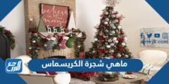 ماهي شجرة الكريسماس وعلى ماذا تدل
