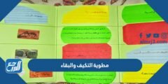 مطوية التكيف والبقاء جاهزة للطباعة