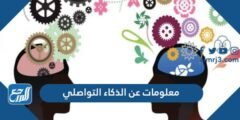 معلومات عن الذكاء التواصلي - موقع المرجع