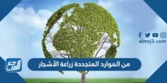 من الموارد المتجددة زراعة الأشجار