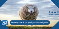 نية ذبح الاضحية وحكم الجمع بين الاضحية والعقيقة