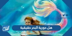 هل حورية البحر حقيقية - موقع المرجع