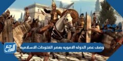 وصف عصر الدوله الامويه بعصر الفتوحات الاسلاميه
