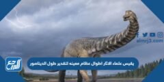 يقيس علماء الاثار اطوال عظام معينه لتقدير طول الديناصور 2026