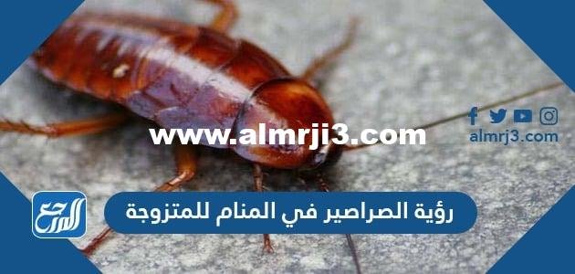 تفسير رؤية الصراصير في المنام للمتزوجة لابن سيرين