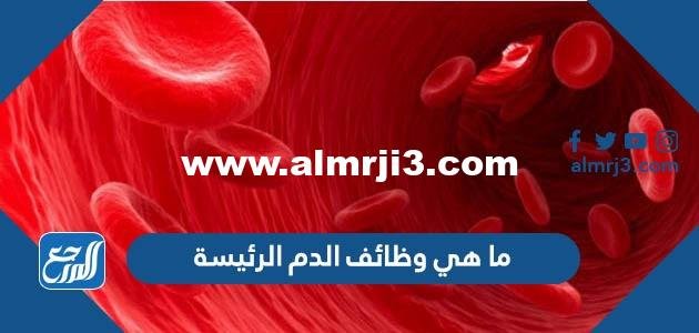 ما هي وظائف الدم الرئيسة