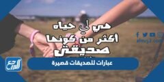 عبارات للصديقات قصيرة وعبارات جميلة عن الحب والصداقة