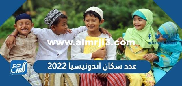 عدد سكان اندونيسيا 2024 - موقع المرجع