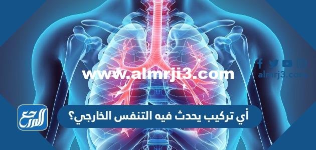 أي تركيب يحدث فيه التنفس الخارجي؟