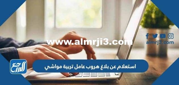 رابط وطريقة استعلام عن بلاغ هروب عامل تربية مواشي 1445 السعودية