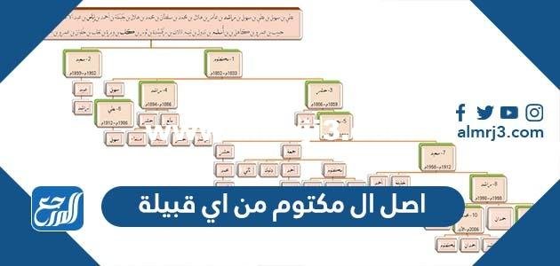 اصل ال مكتوم من اي قبيلة 2026