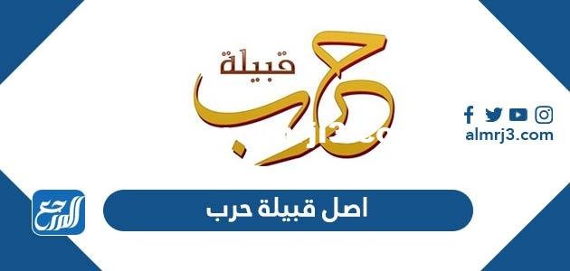 ما هو اصل قبيلة حرب 2026