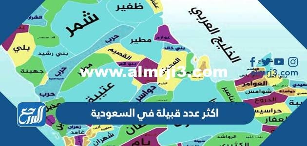 اكثر عدد قبيلة في السعودية 2024