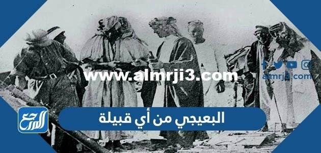 البعيجي من أي قبيلة - موقع المرجع