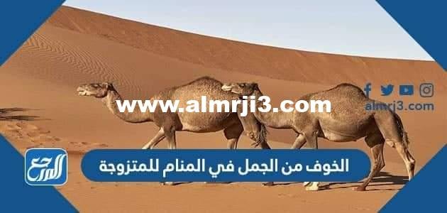 الخوف من الجمل في المنام للمتزوجة