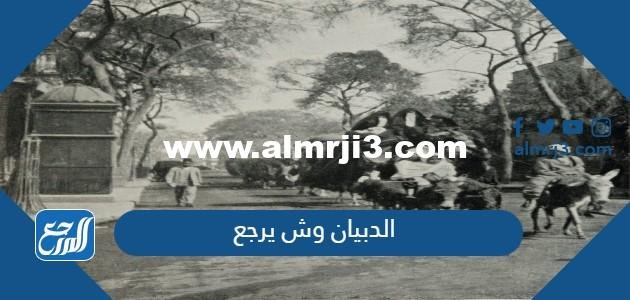 الدبيان وش يرجع ، أصل عائلة الدبيان من أي قبيلة