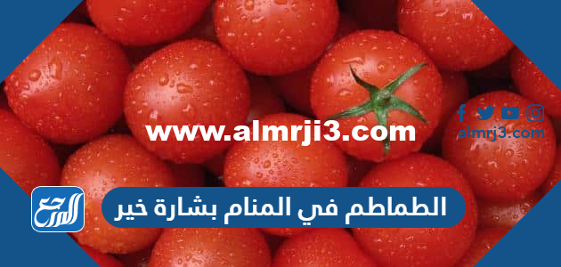 الطماطم في المنام بشارة خير للإمام الصادق وابن سيرين