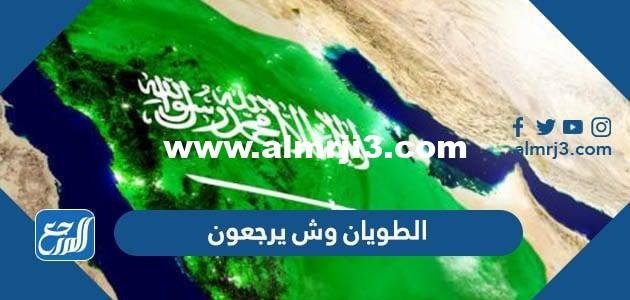 الطويان وش يرجعون ، أصل عائلة الطويان من أي قبيلة