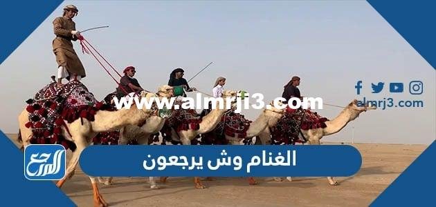 الغنام وش يرجعون ، أصل عائلة الغنام من وين 2026