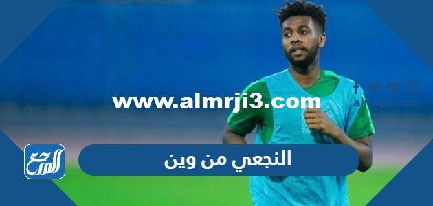 النجعي من وين ، النجعي من اي قبيلة