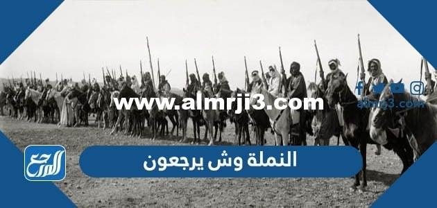 النملة وش يرجعون ، أصل النملة من وين