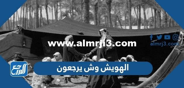 الهويش وش يرجعون ،أصل عائلة الهويش من وين 2026