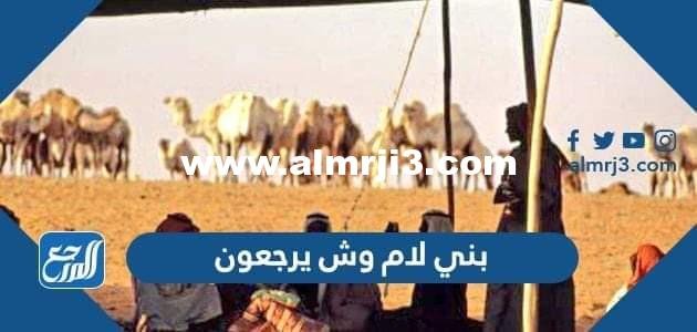 بني لام وش يرجعون ، أصل عائلة بني لام من وين