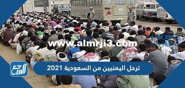 حقيقة ترحيل اليمنيين من السعودية 2021